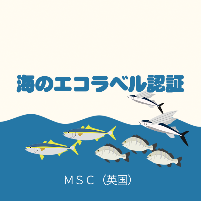 wi13_msc