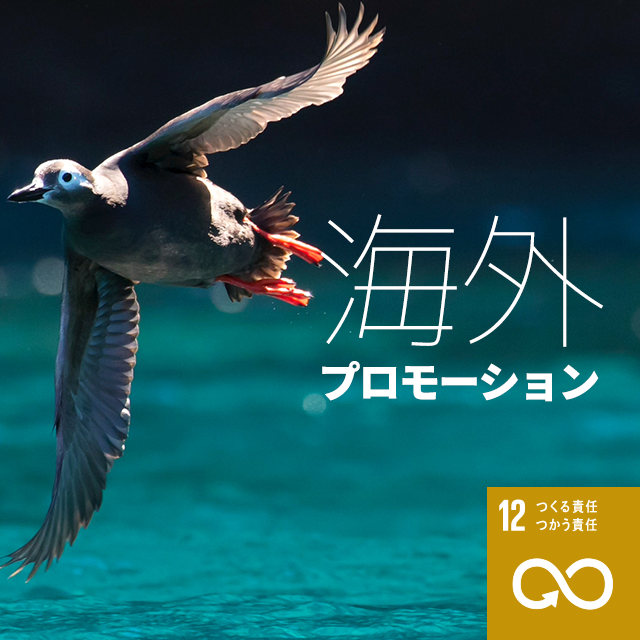 sd-overseaspromotion_v2