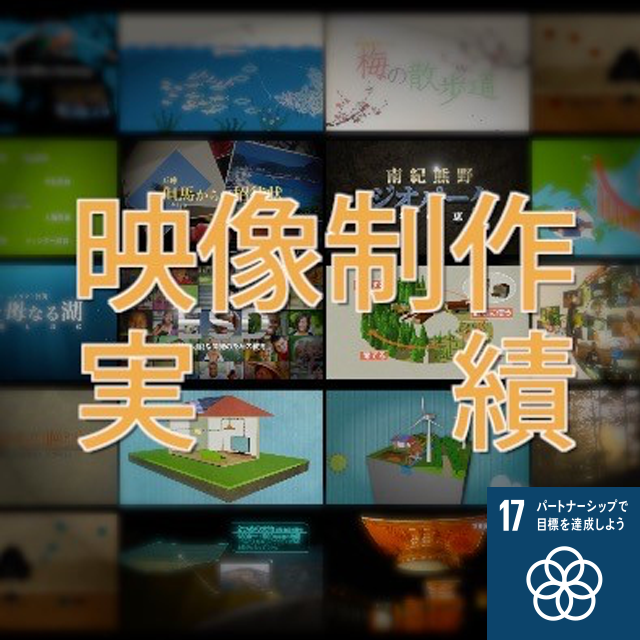 sdgoal17
