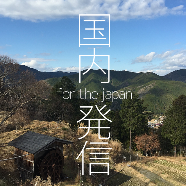 国内発信