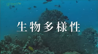 映像3