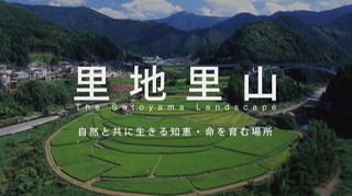 映像4